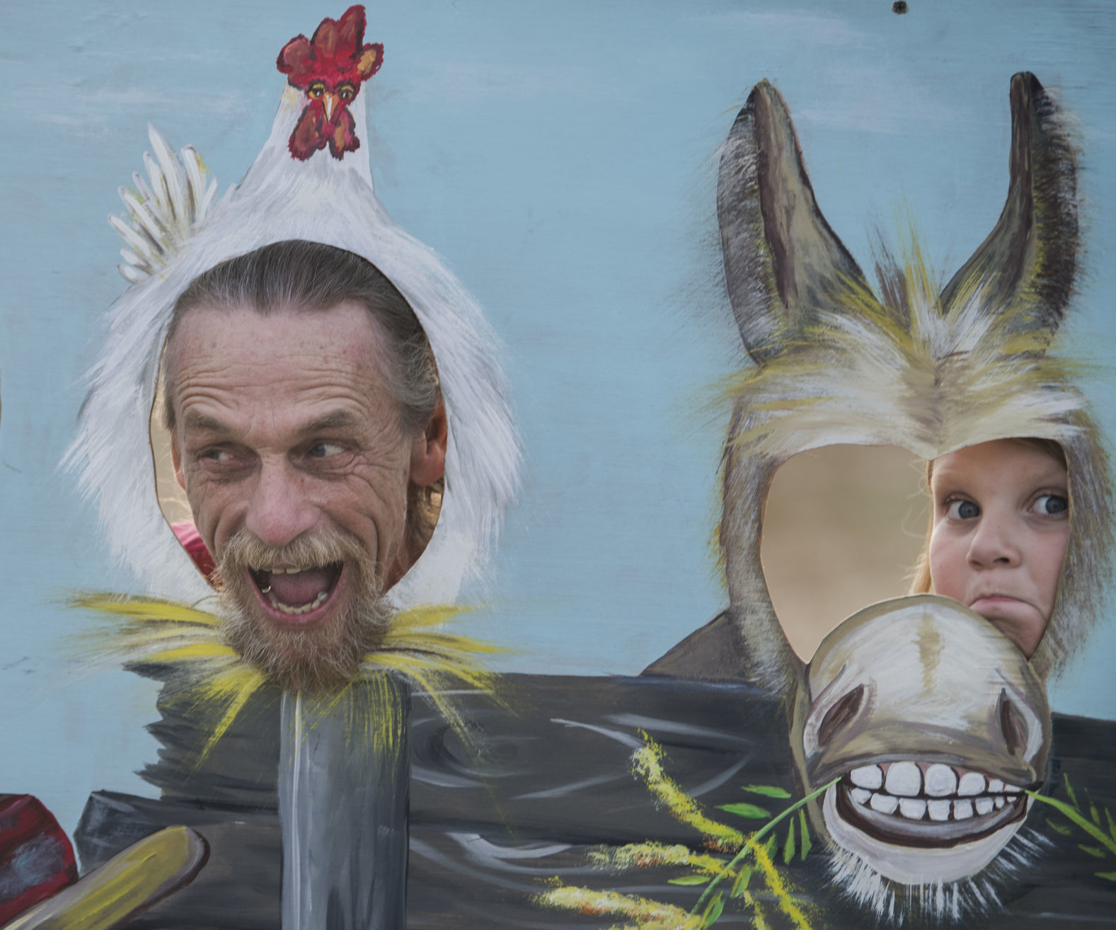 Amherst fair 6